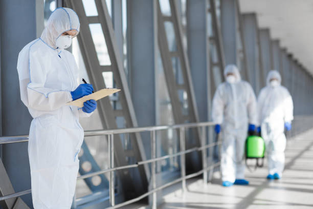 Trusted Kellogg, ID Mold Removal Experts