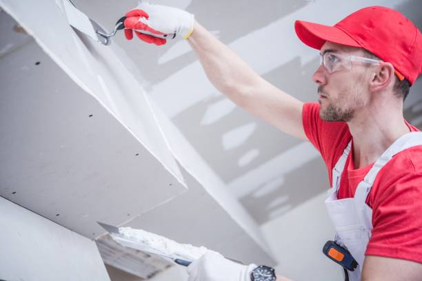 Best Black Mold Removal  in Kellogg, ID