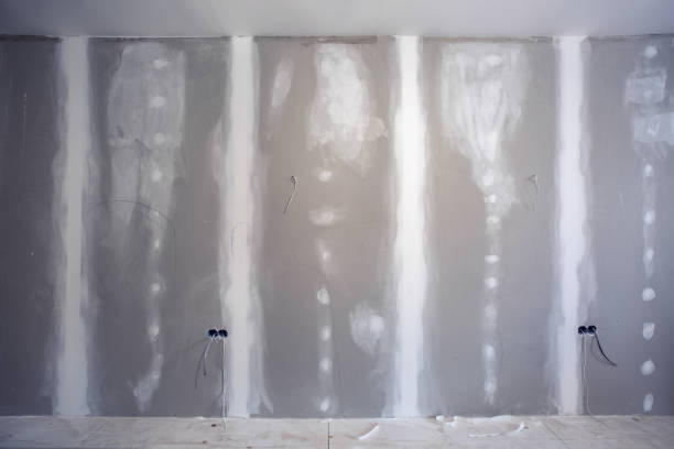 Best Mold Remediation for Healthcare Facilities  in Kellogg, ID